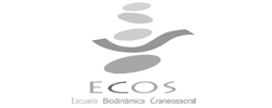 ECOS Escuela Biodinámica Craneosacral